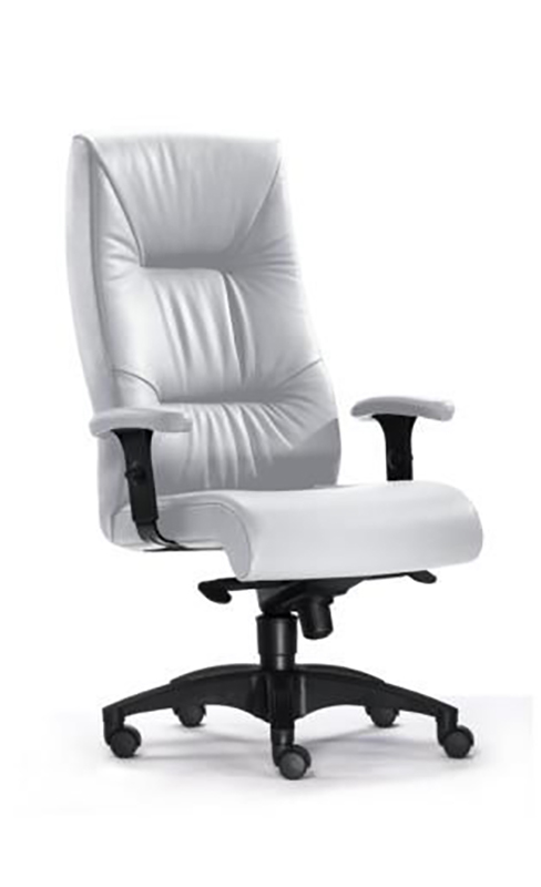 Hochlehner Turbo L - Chefsessel